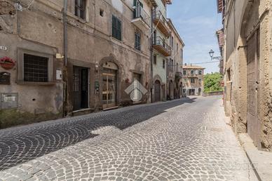 2 LOCALI A BASSANO ROMANO