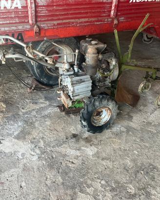 Motocoltivatore casorzo vigneto