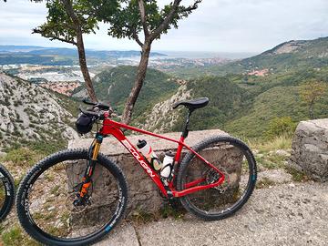 Mountain bike, MTB, bici Leecougan , carbonio 