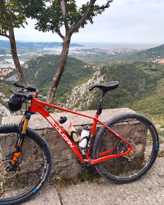 Mountain bike, MTB, bici Leecougan , carbonio 