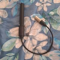 Microfono panoramico