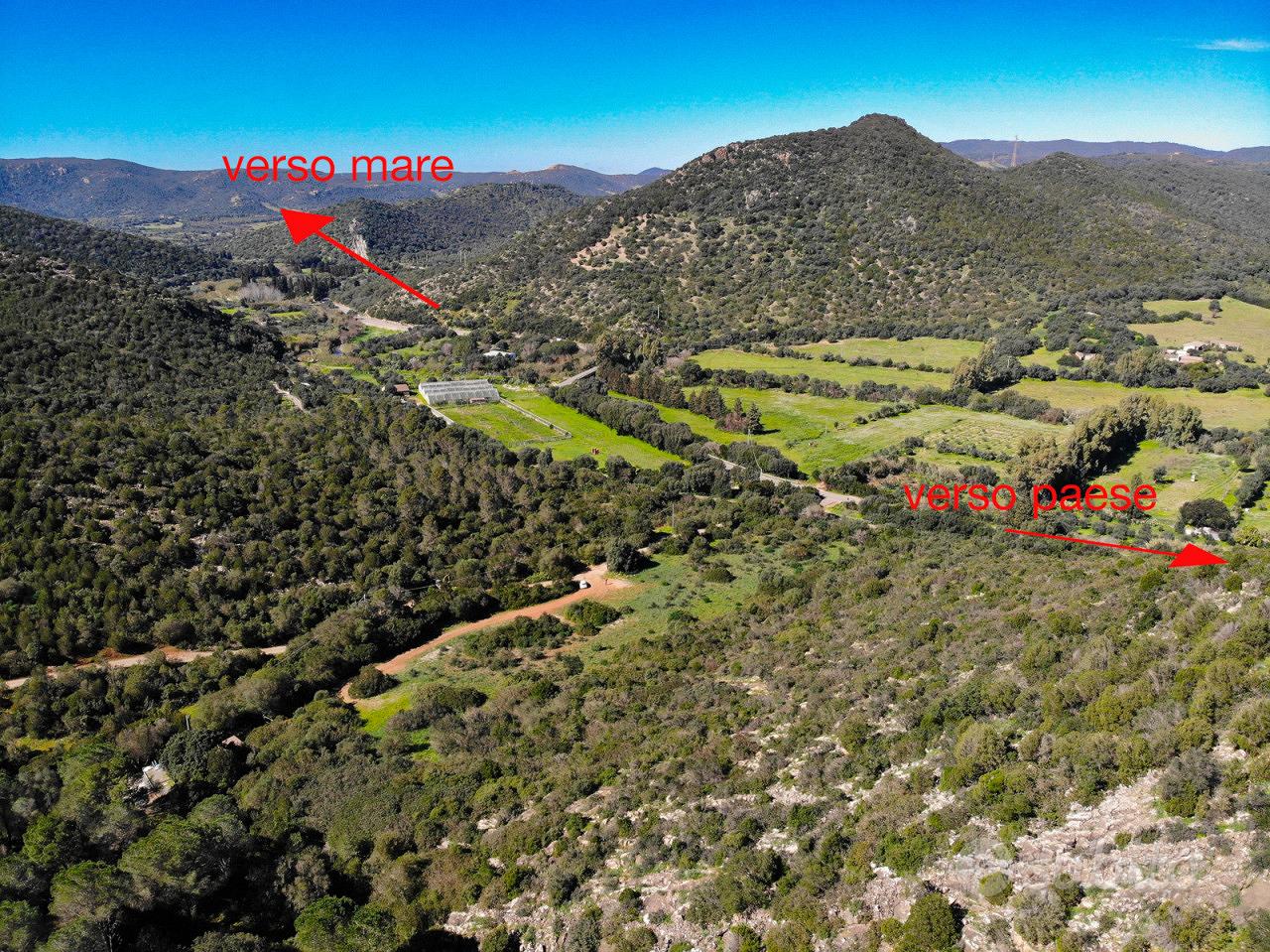 Area verde a Teulada - Vista 4