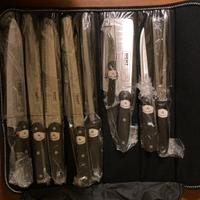 Set 9 coltelli da cucina Mert Solingen Steel