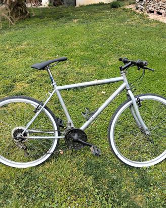Bicicletta da città