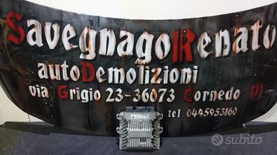 CENTRALINA MOTORE FORD FIESTA V 1.4  5WS40140ET