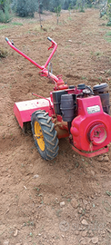 Motocoltivatore Lombardini 10 CV diesel