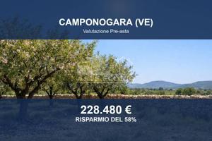 Immobile in asta di 68985 m² a Camponogara