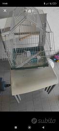 Gabbia per uccelli