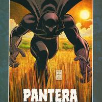 100% Marvel Pantera Nera: chi è Pantera Nera?