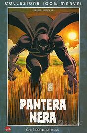 100% Marvel Pantera Nera: chi è Pantera Nera?