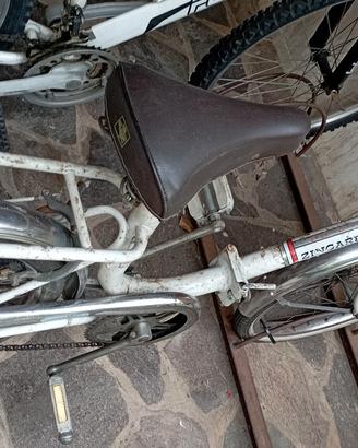 bicicletta zingarella
