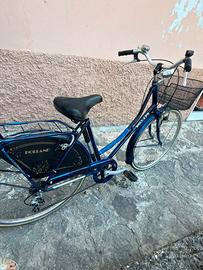 Bicicletta donna holland
