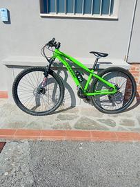 bici casadei