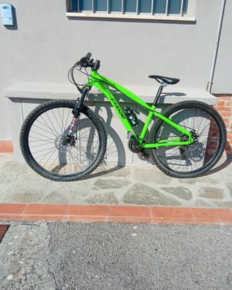 bici casadei