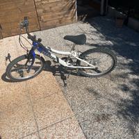 Bicicletta 20 pollici