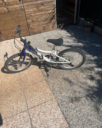 Bicicletta 20 pollici