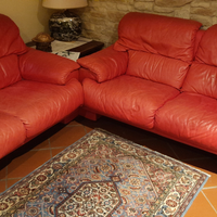 Divani in pelle