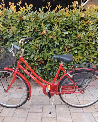 bicicletta 