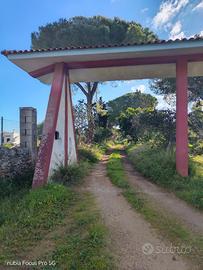 Abitazione con deposito