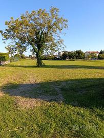 Terreno con porzione edificabile