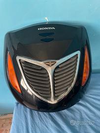 Scudo sh
