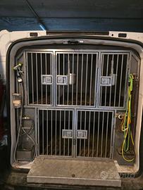 Fiat Scudo adibito trasporto cani