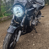 Honda Hornet