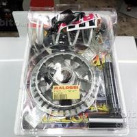 Variatore malossi kawasaki J300 downtown 300