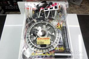 Variatore malossi kawasaki J300 downtown 300