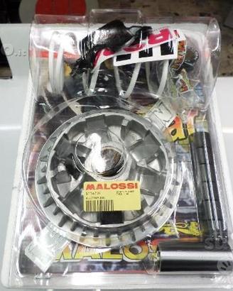 Variatore malossi kawasaki J300 downtown 300