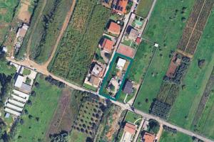 Immobile in asta di 1643 m² a Nettuno