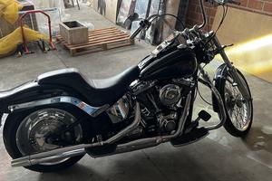 Harley Davidson Softail Custom