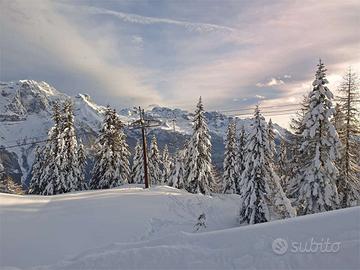 Contratto Breve a Dimaro Folgarida