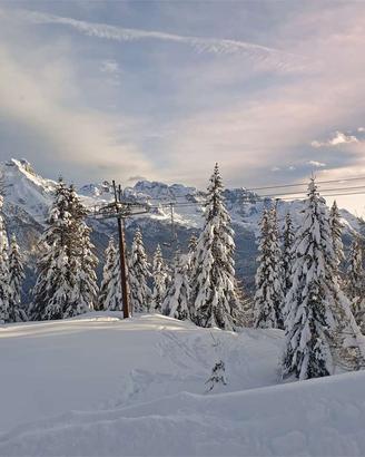 Contratto Breve a Dimaro Folgarida