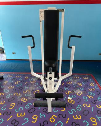 Chest press palestra