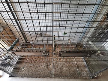 Gabbia/voliera