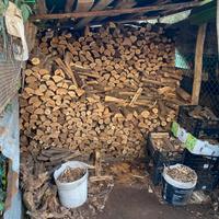 Legna da ardere per stufa e camino