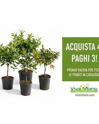 🍋Promo Agrumi: Prendi 4 e Paghi 3