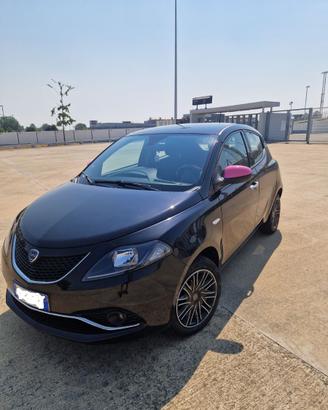 lancia y