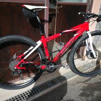 quasi gravel Specialized 