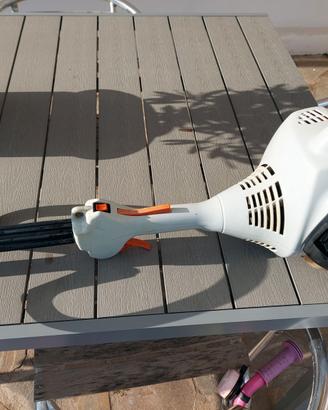 Decespugliatore stihl fs 55 r