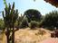 Immagine 16