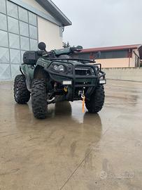 Quad Kawasaki brute force 750