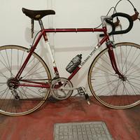 colnago sport vintage 