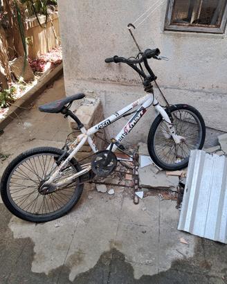 bici mountain bike  bambino 