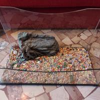 Acquario per tartarughe,  con pompa 