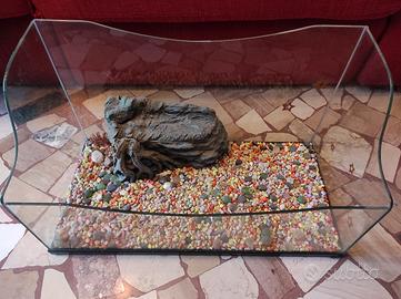 Acquario per tartarughe,  con pompa 