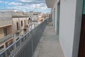 Lecce da settembre singola studente