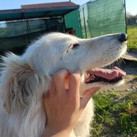 Titty e Tony sognano amore e libertà