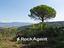Immagine 28